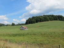 Virginia Countryside