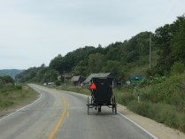 Amish in Southern WI