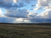 A Vista, Sunset in The Hayden Valley