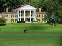 Polo in front of the Bryn Du Mansion