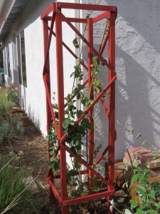 one of my accomplishments, a new berry lattice