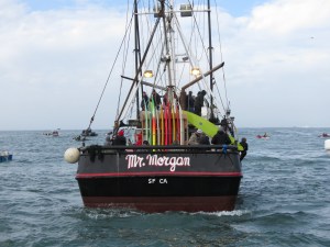 Main judges boat & surfers boat for the competition