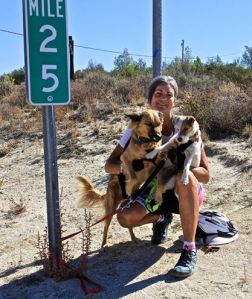 Kat and her pups. Bicycling to the east coast
