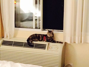 Hanging at the Radisson