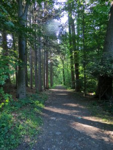 Hiking at Dolce Norwalk