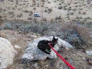 My climb up the hill and way down there is the RT