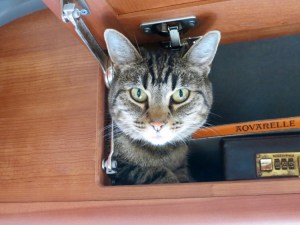 my latest favorite spot to hang and sleep