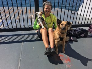 Cat & her Canine Companions