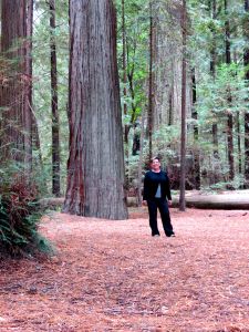 Janet in the Redwoods