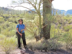 Janet, Hiking Alamo Canyon