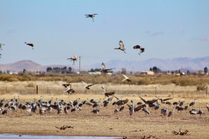 Arriving back at the Refuge around noon.