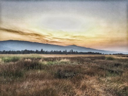 20637844_10214158128973333_8299372304625390288_n 2