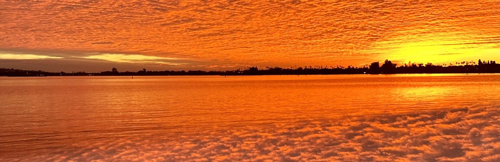 Journeys of Thankfulness